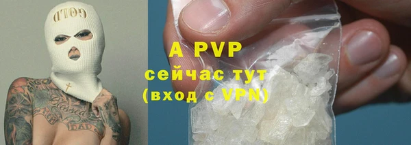 PSILOCYBIN Магас