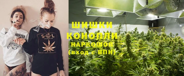 индика Майский