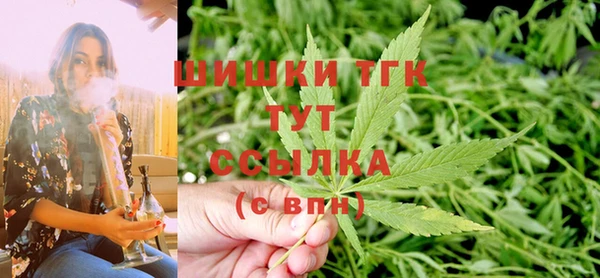 PSILOCYBIN Магас