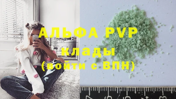 индика Майский