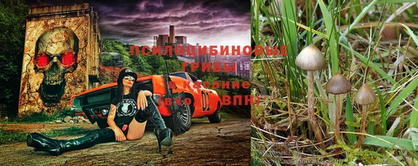 индика Майский