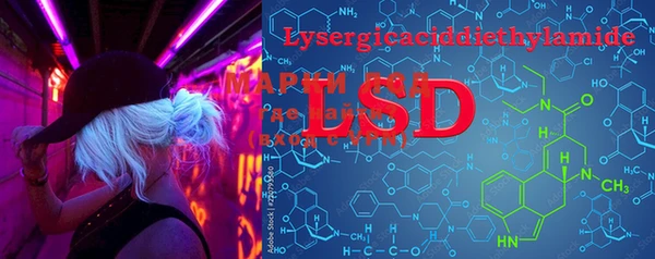 PSILOCYBIN Магас